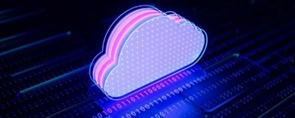 Flexible CMS Connectivity
